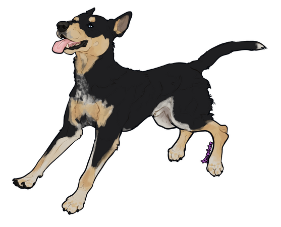 Fullbody - $50