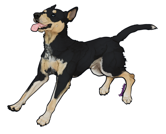 + Shading - $20