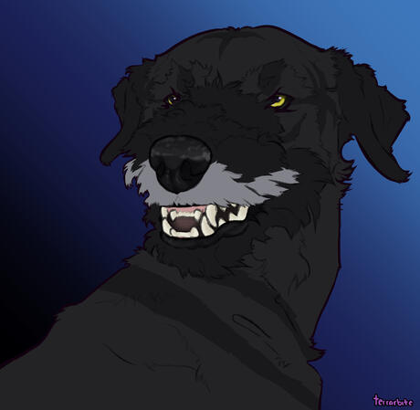 Headshot - $35